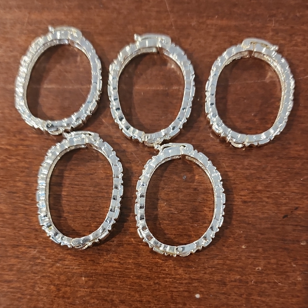 Elegant Silver Hoop  for pictures (5)